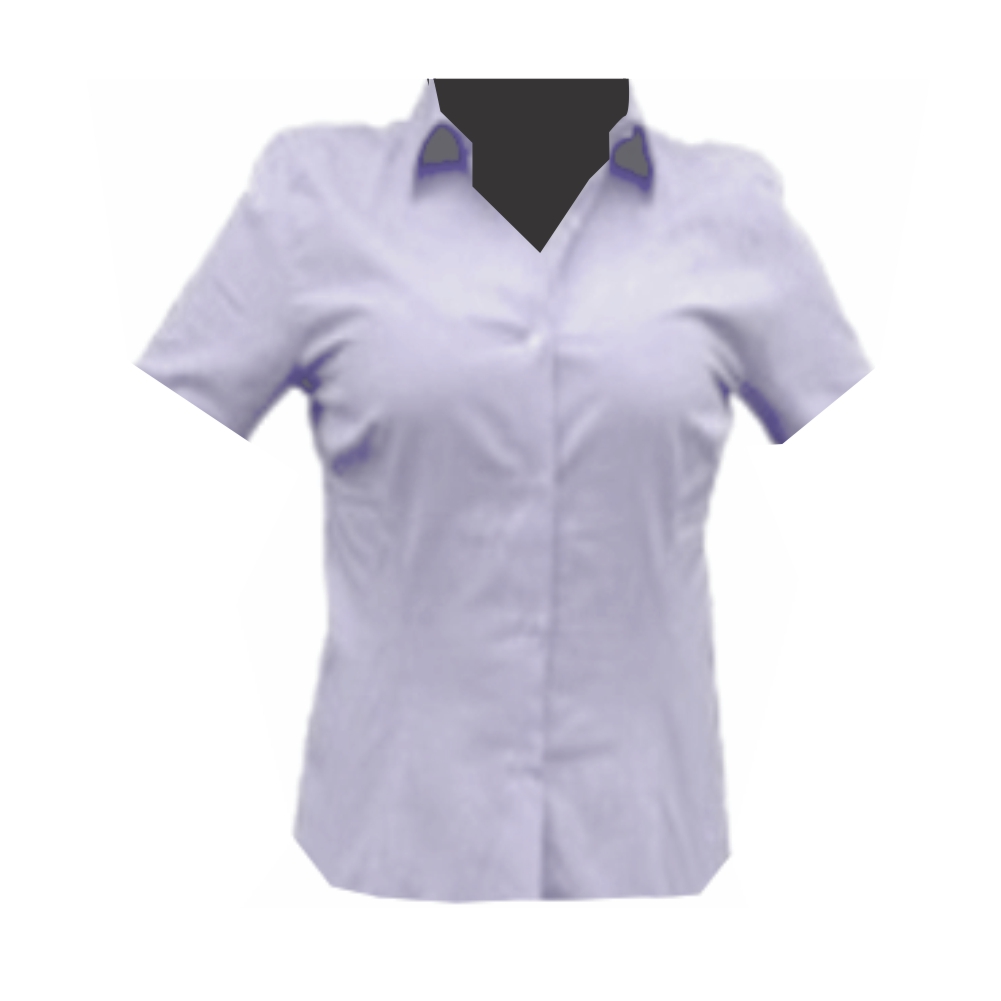 Rooster Blank instructor Blusa ejecutiva Para Uniforme 70% poliéster 30% algodón - Camisas y Blusas  Para Uniforme